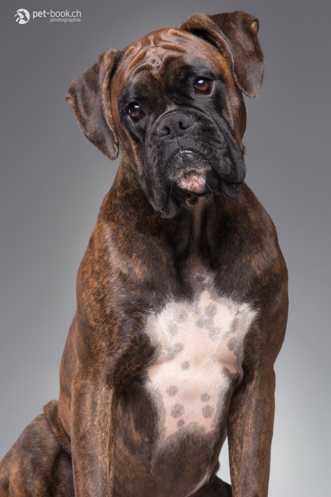 PetBook_Chauvet_109_web