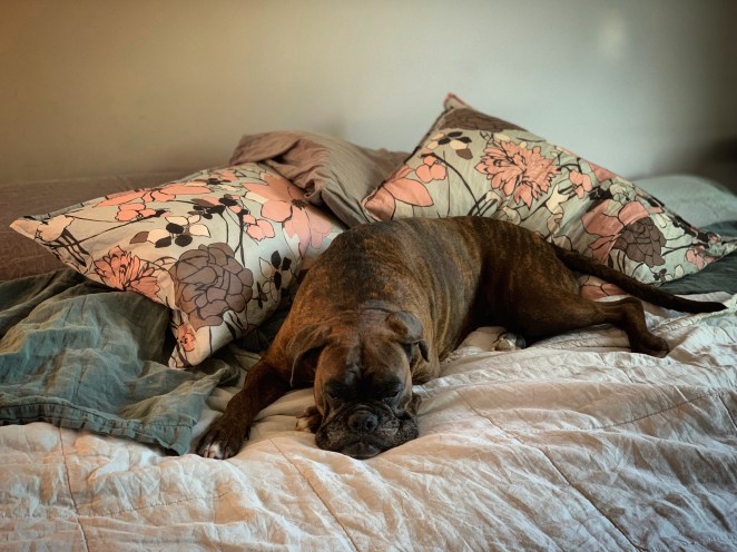 7492CAED-4AC9-48C5-ABFB-5E22CCFF0F9B