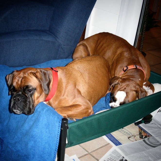 MINOLTA DIGITAL CAMERA