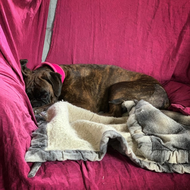 304E023C-5D7D-4DAE-9671-79A87BE073C2