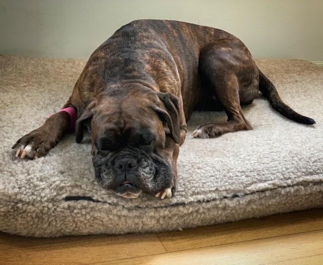 C10A8987-57FF-43C4-A9B9-578011A30D7E