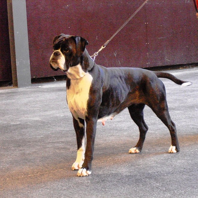 4B2D13F6-6523-4301-A538-ED6B26D2A15C 2 copy