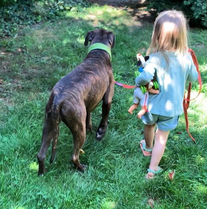 53465249-FB2C-4635-9705-E30399CB4956