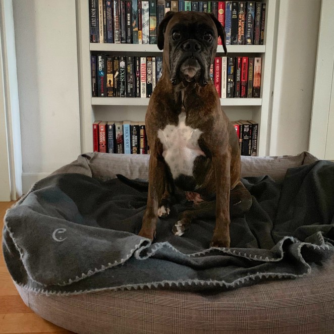 D404B77A-1B4E-4B46-B453-B6139F9E661B