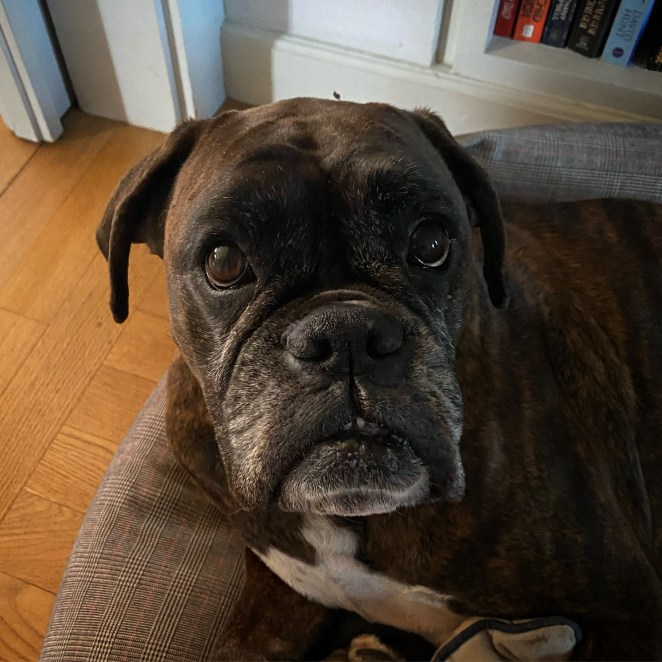 863C8284-0238-4A42-819E-E369B343E1F7