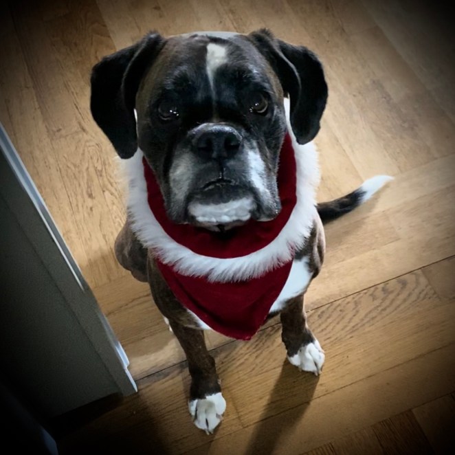 9142C754-E355-40B1-9AF0-5668C700393D 2