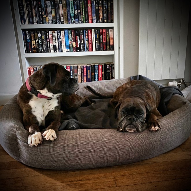 B38A0597-C718-4F97-9217-A10FCADD9BBB