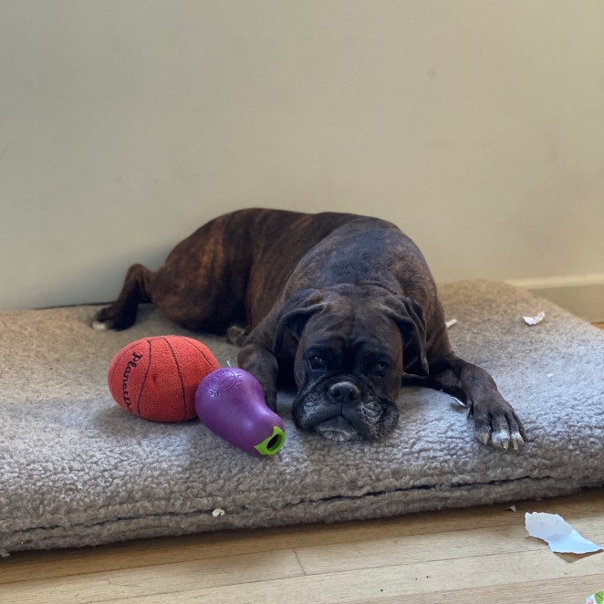 13D45491-0667-4C15-ADE8-5E3A7BAEAB5D