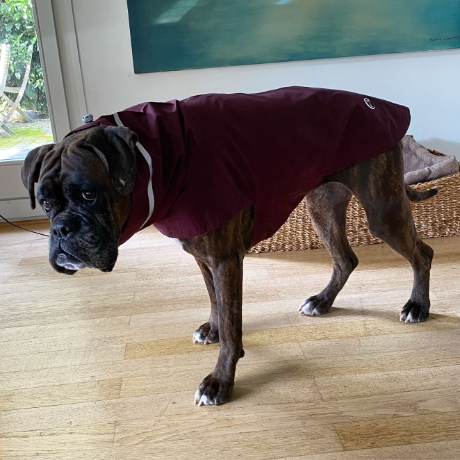 5DCE8F8A-803B-403A-B6D8-28B2956CE61C