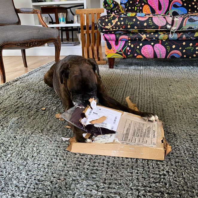 AE19A4A8-48D1-4DBA-8CD4-DB46D2C8894E