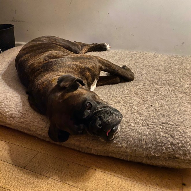 B0C81DBF-E419-4D09-BA57-68FB72E9B4DD