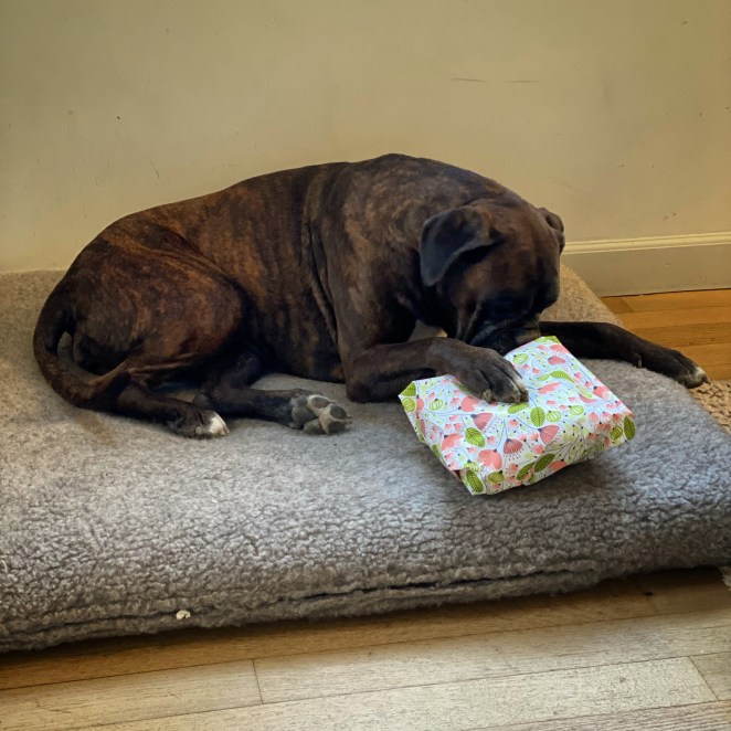 CBAA3A0D-CB68-4736-9F28-BAA7716DCECE