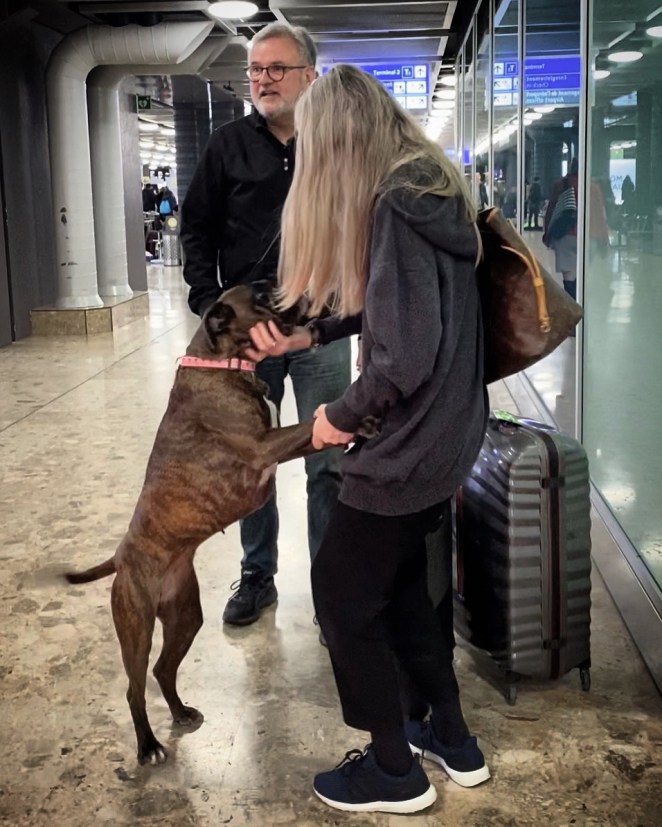 ED284E1B-BAFD-4DA5-B176-2D051FB0B9DB