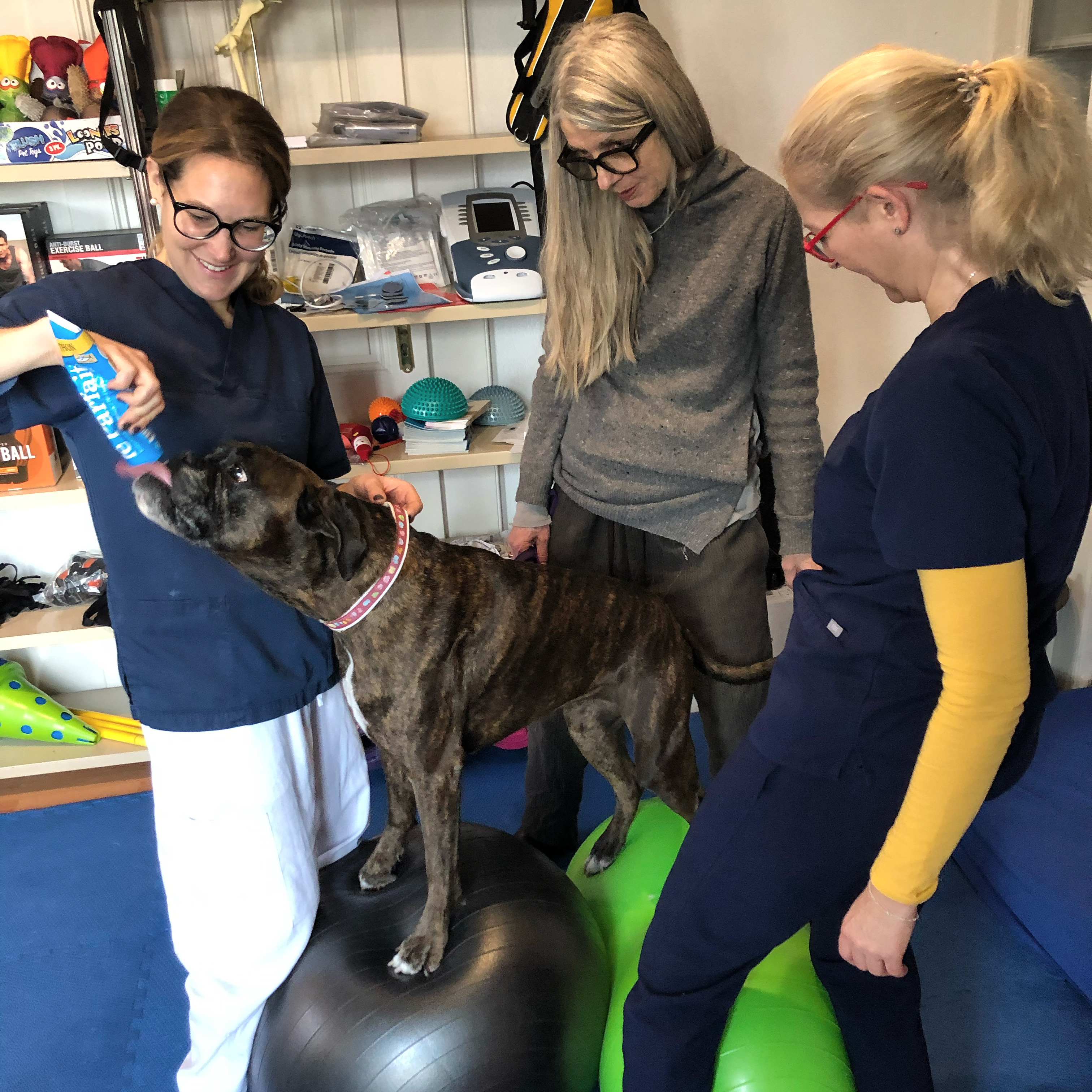 0912449F-BD65-4EB0-AADD-962735867FB0