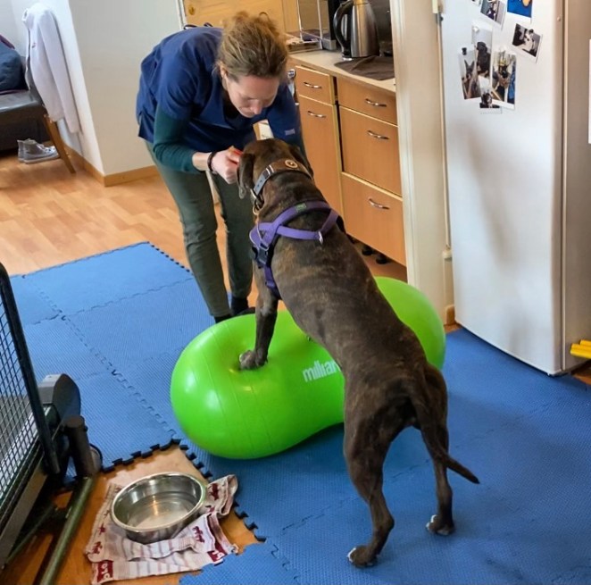 1536DE8B-C8AF-4638-ADC1-D809C0726588 2