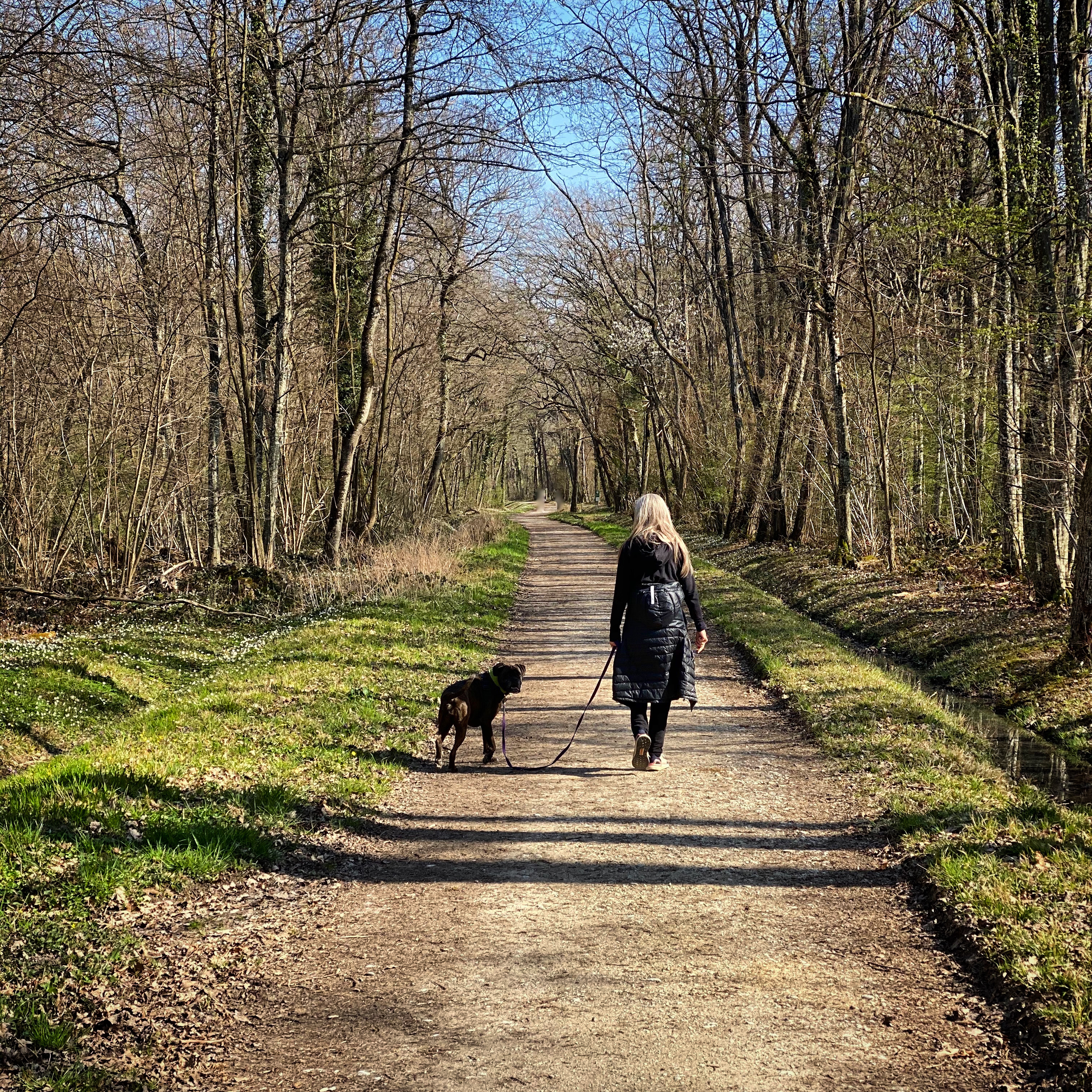 2F4D5539-EE84-4050-8CFF-0584BD36F82C