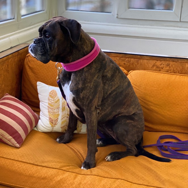 42E56397-CEB6-4F88-9ABB-CE832A0A4F28