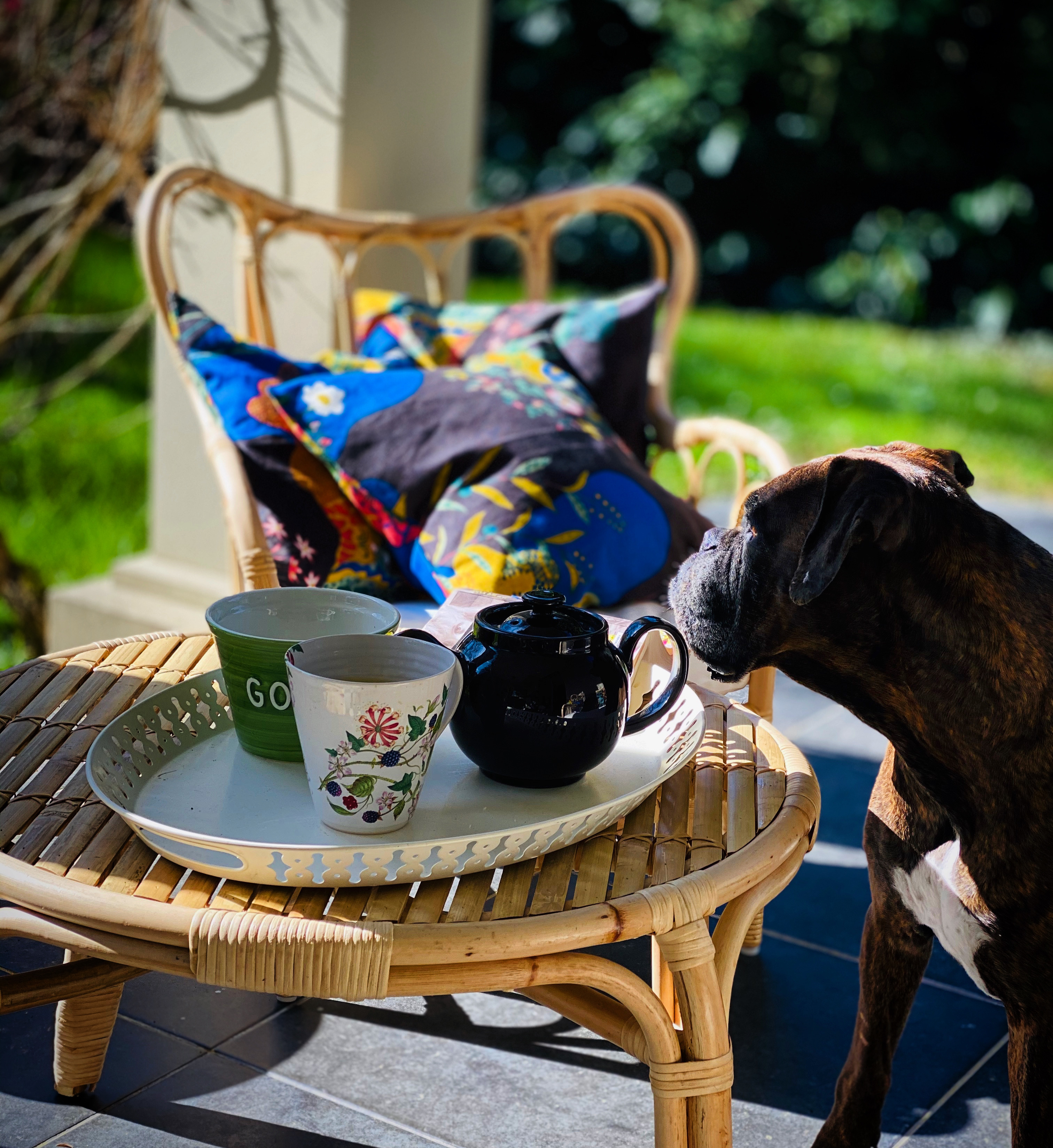 43BFD3CF-FC10-4EA7-B905-80019E9F98B6