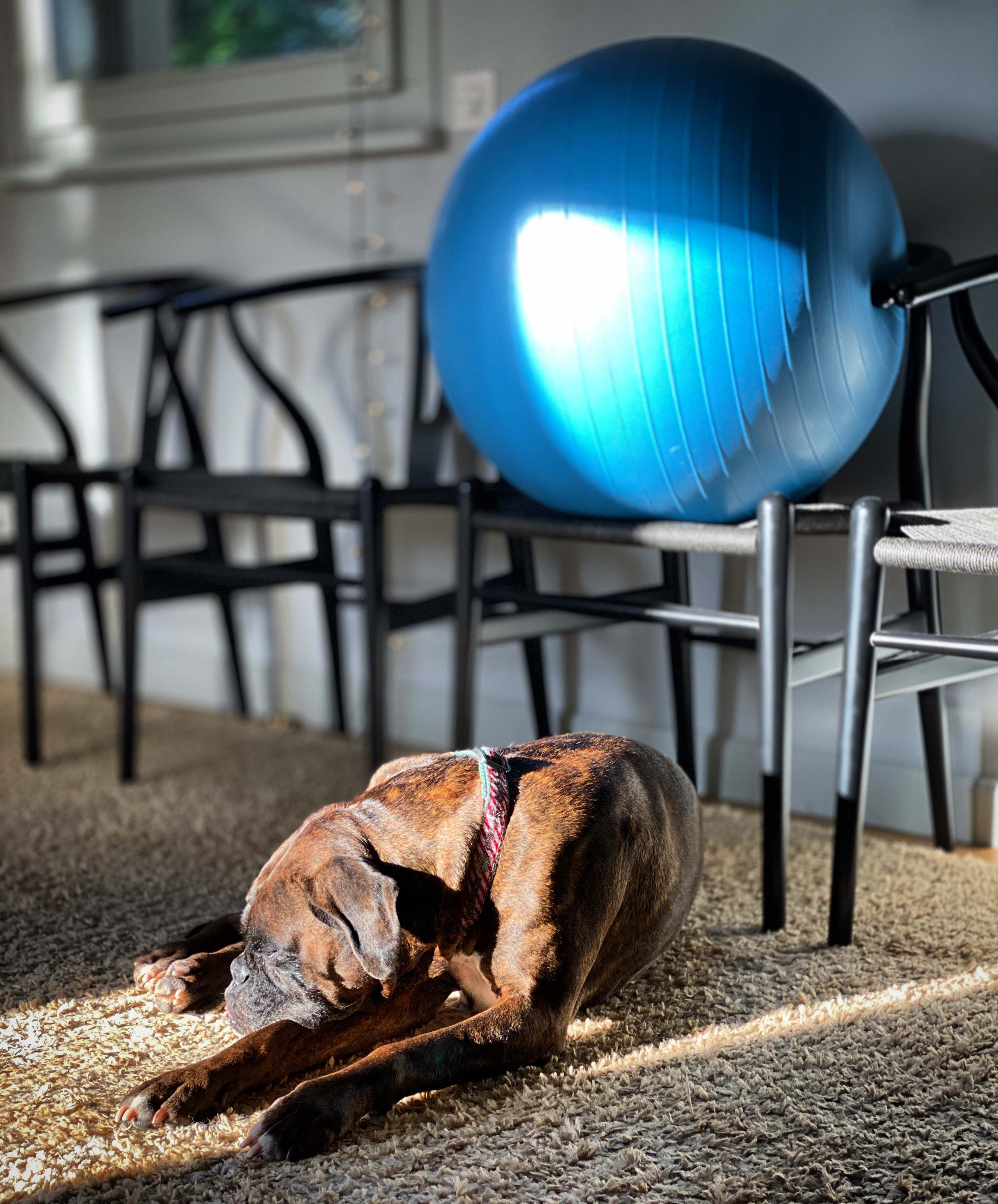 464D35C4-85E6-4300-A1AD-3E18D584271F