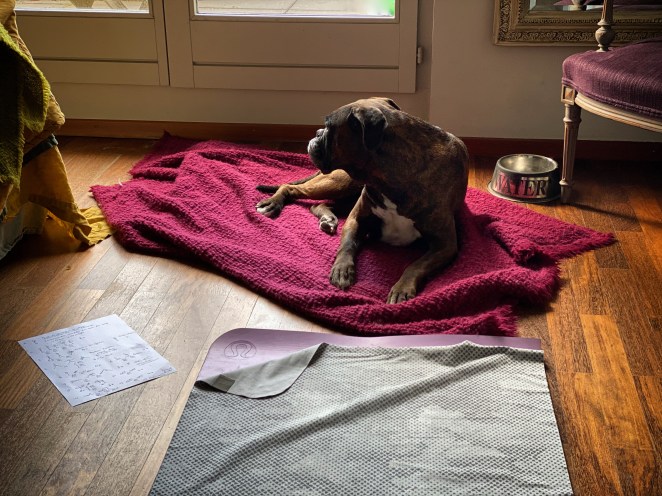 5BC45423-E589-4592-B7B5-08066DF3FA55