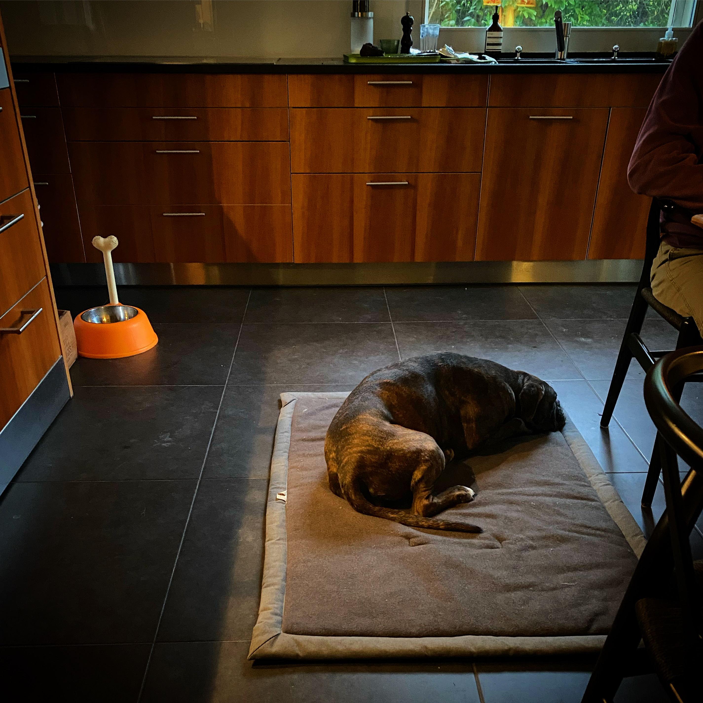 6FFAB78A-0F1A-45FA-AF52-14728A7CFAFC