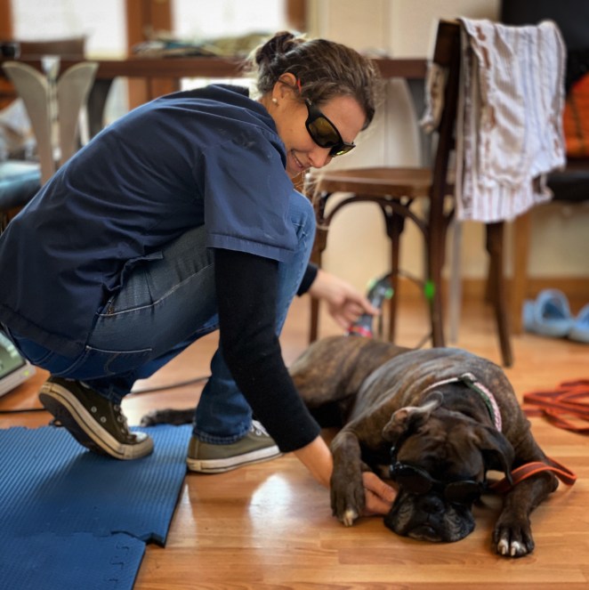 85E5688C-F010-41CE-B34A-29F0546BE846