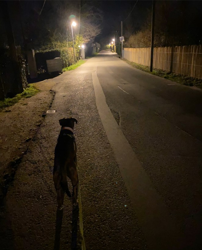 8D1B308A-35BF-4D46-A502-24D1E76E41B2