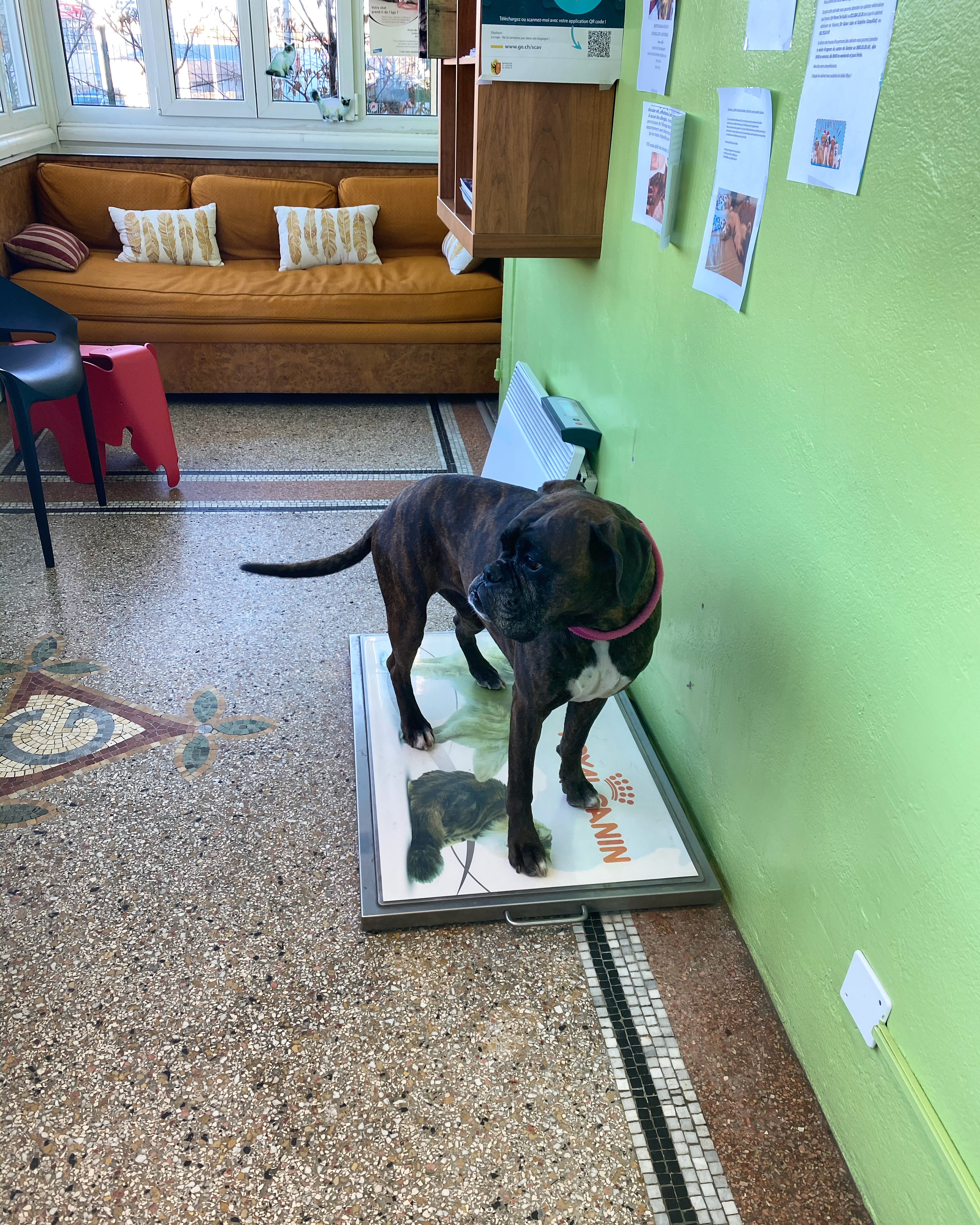 8EDFD438-5BCD-4EC6-B48E-B9D978656D34