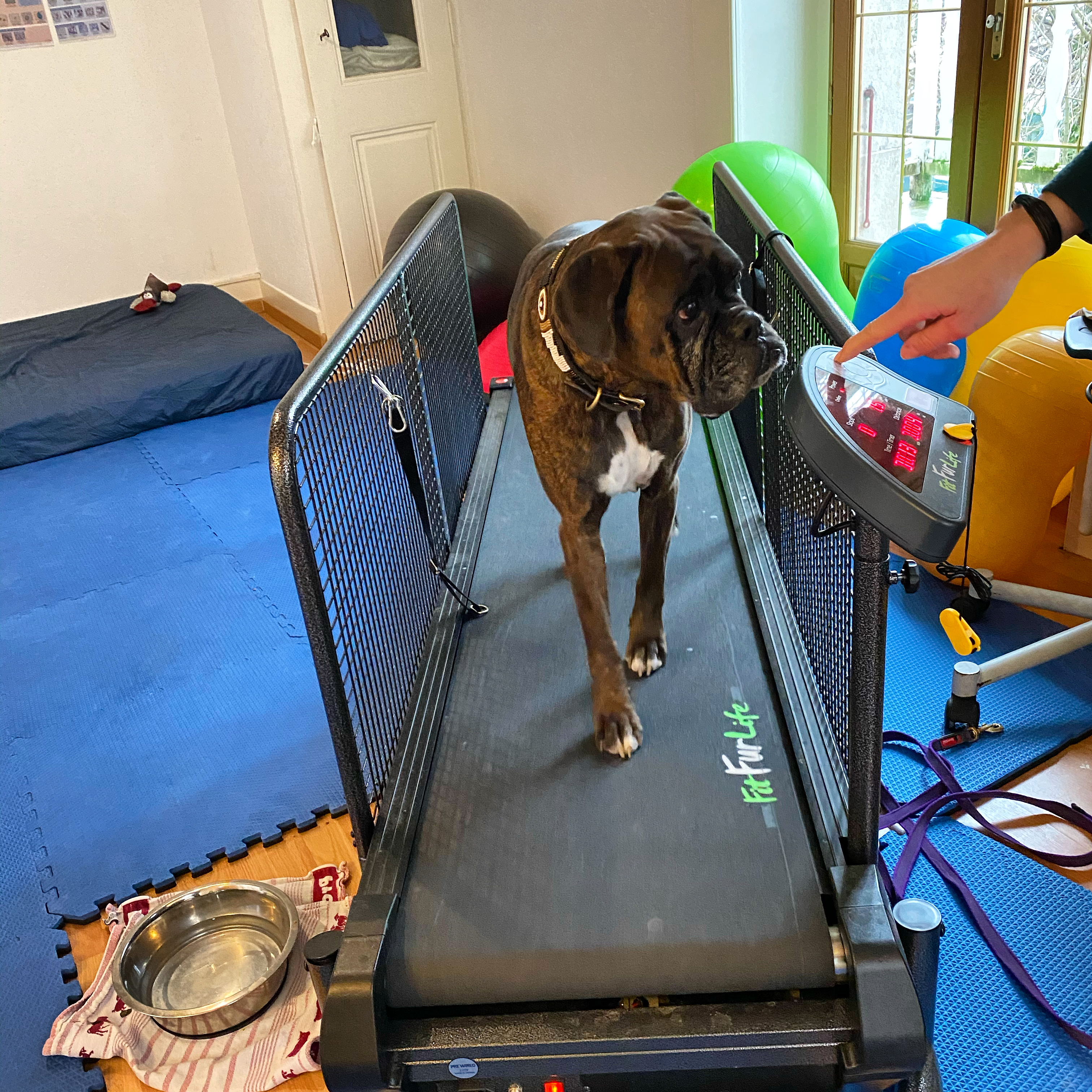 968CCE3F-8925-495A-BD5A-1145203FFD9B