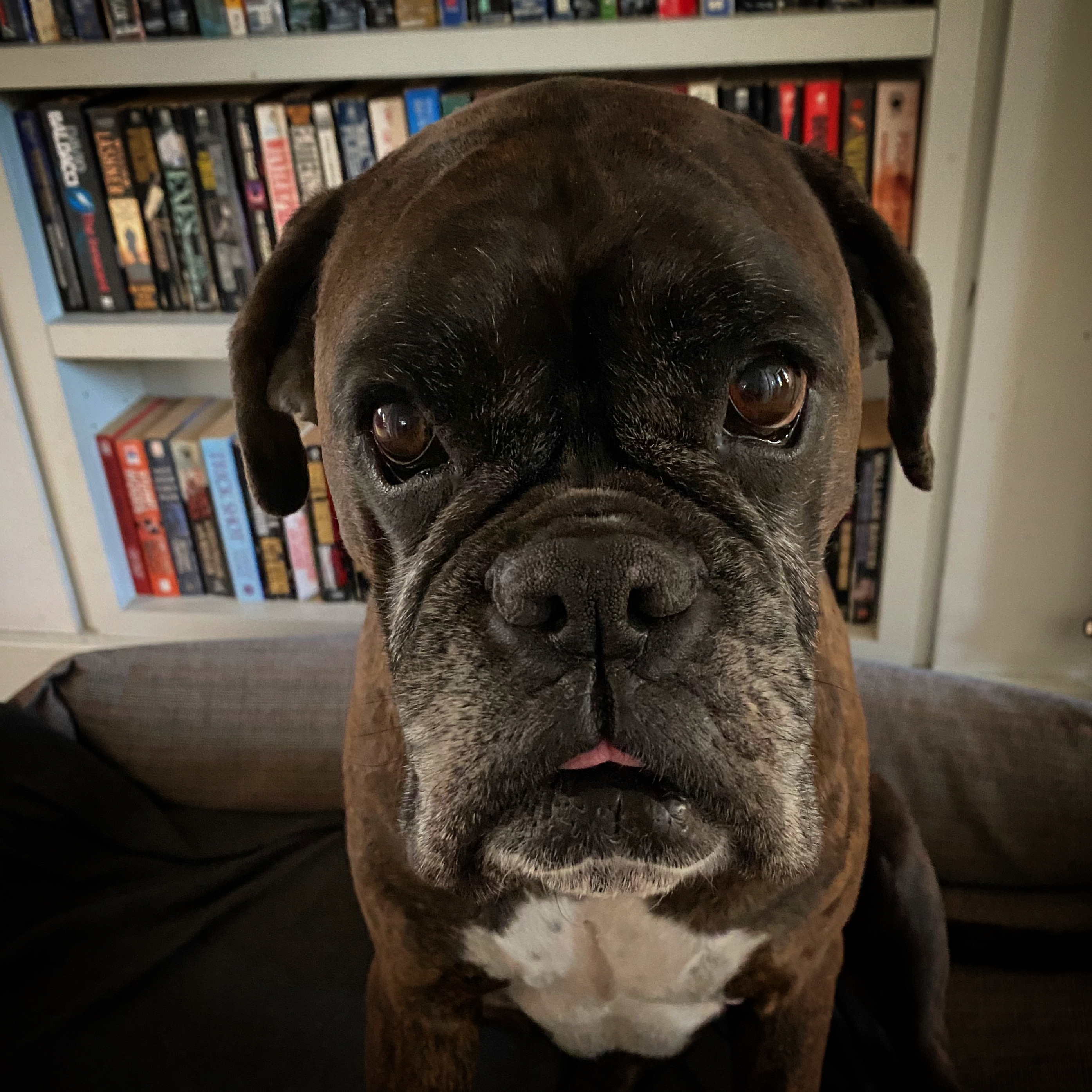 9E39287E-1598-4F3F-A19F-B39DF13CC3C1 2