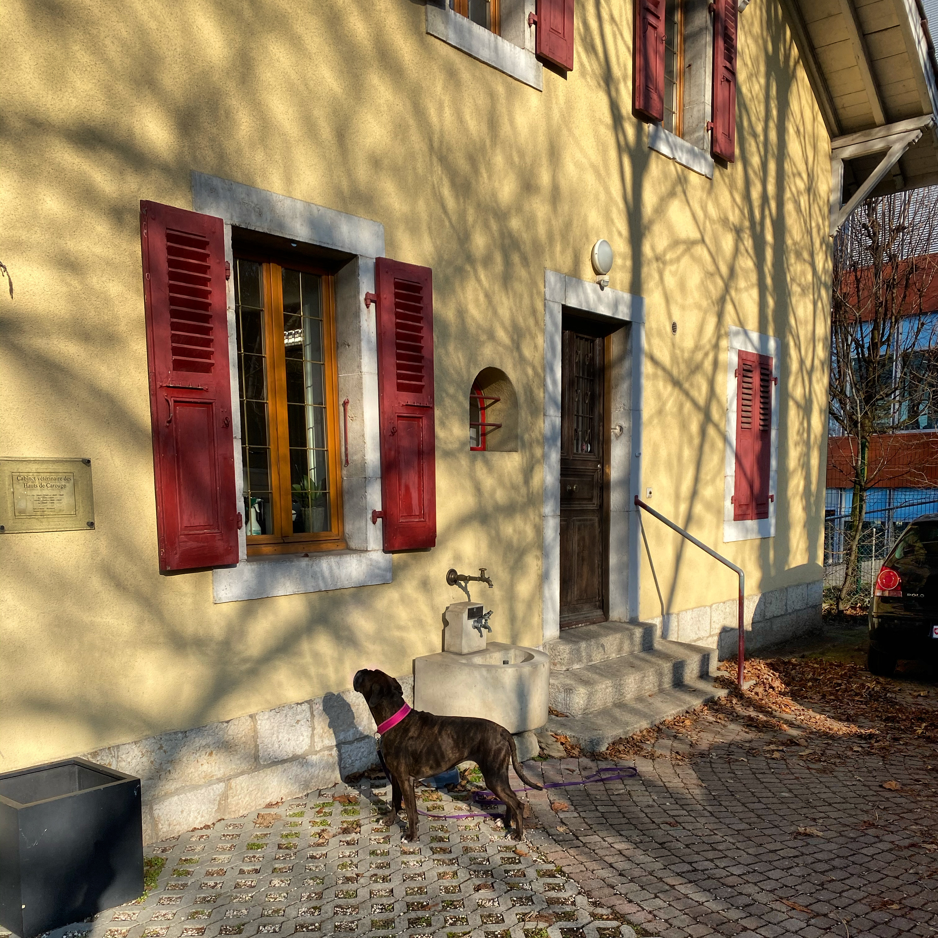 9F9BE411-C0AE-426C-B75C-8CE293CB1AF6