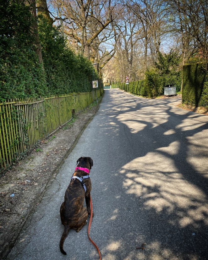 A0B70498-C648-451D-913D-1DDD431182EC