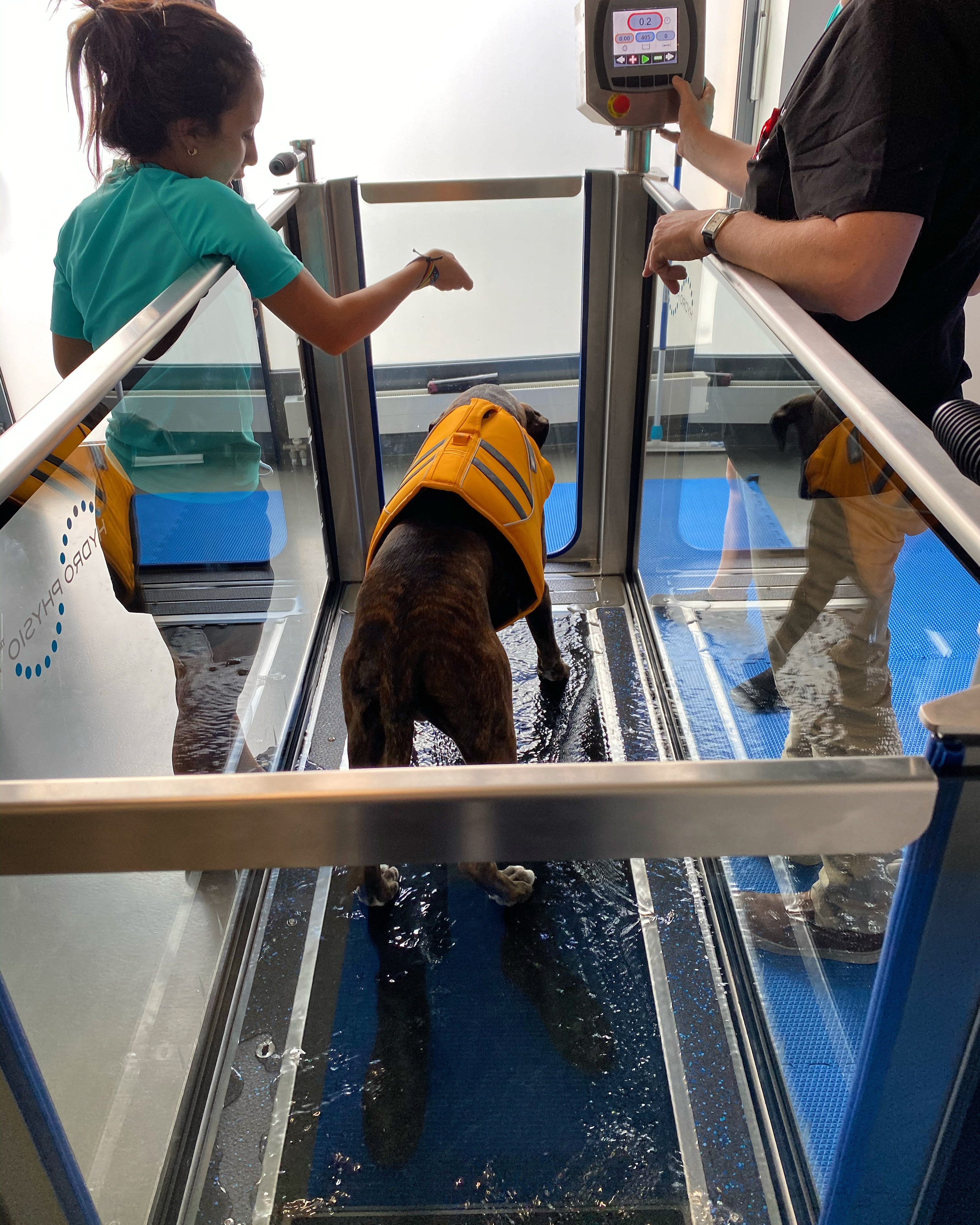 B12DB3CF-5F55-44C3-9B91-CE15EF2901BD