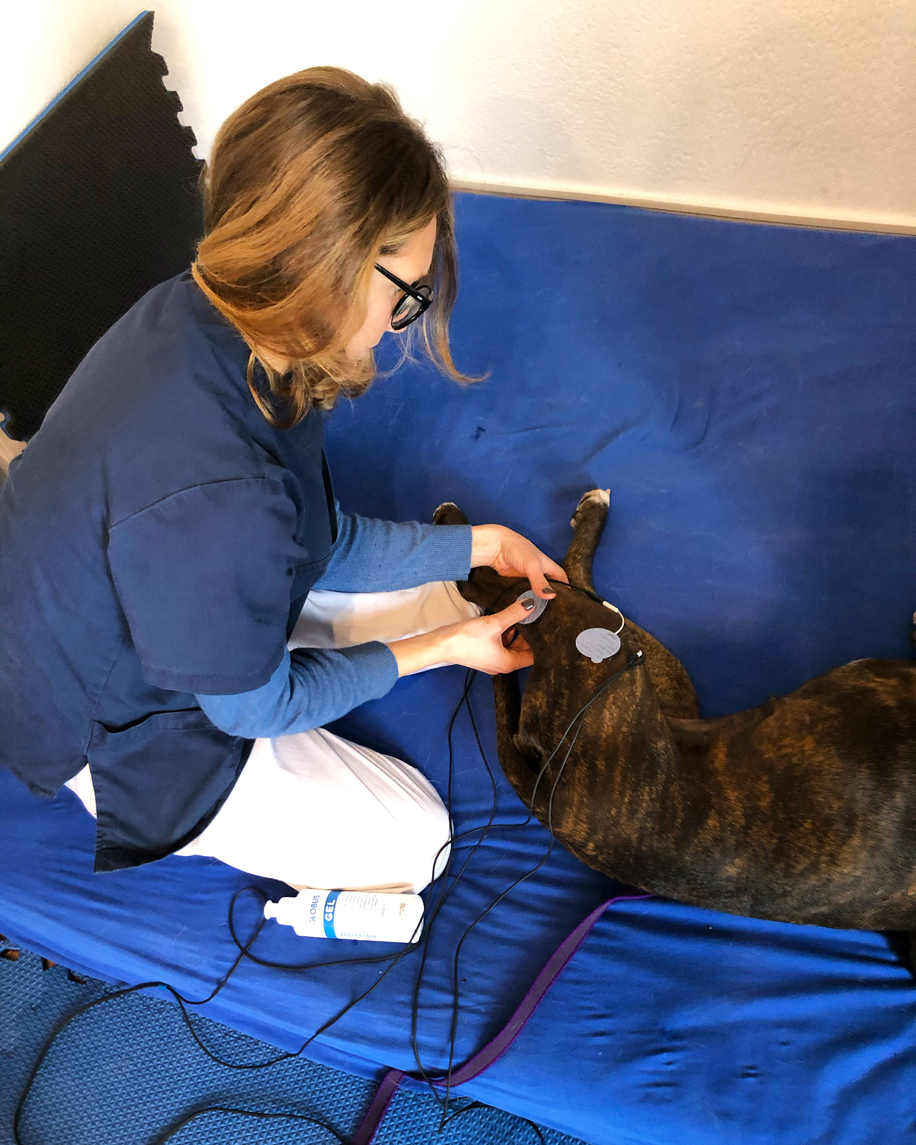 C006DBB3-C025-45C8-BD88-C062922ED7C6