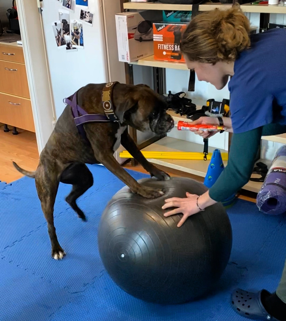 CA29E5F5-310B-4DD7-B626-B14730E3AD00 2