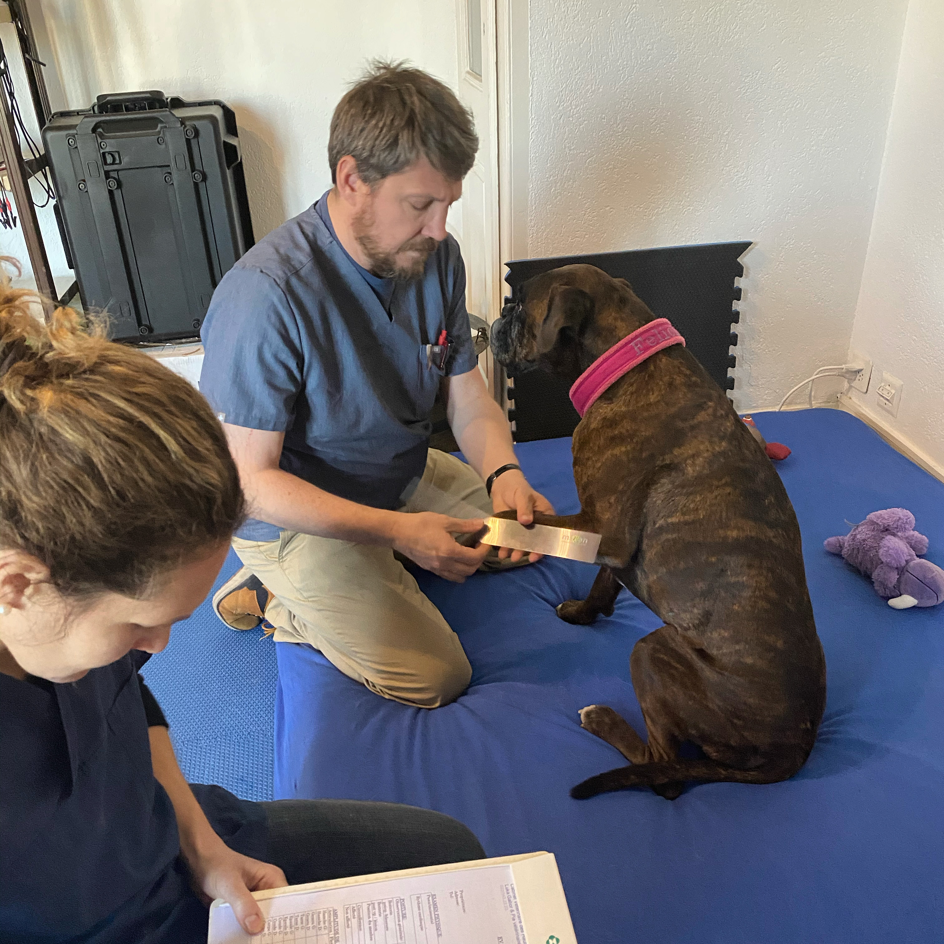 CB0101CB-9ACE-4A89-B624-6E6953FF5D98