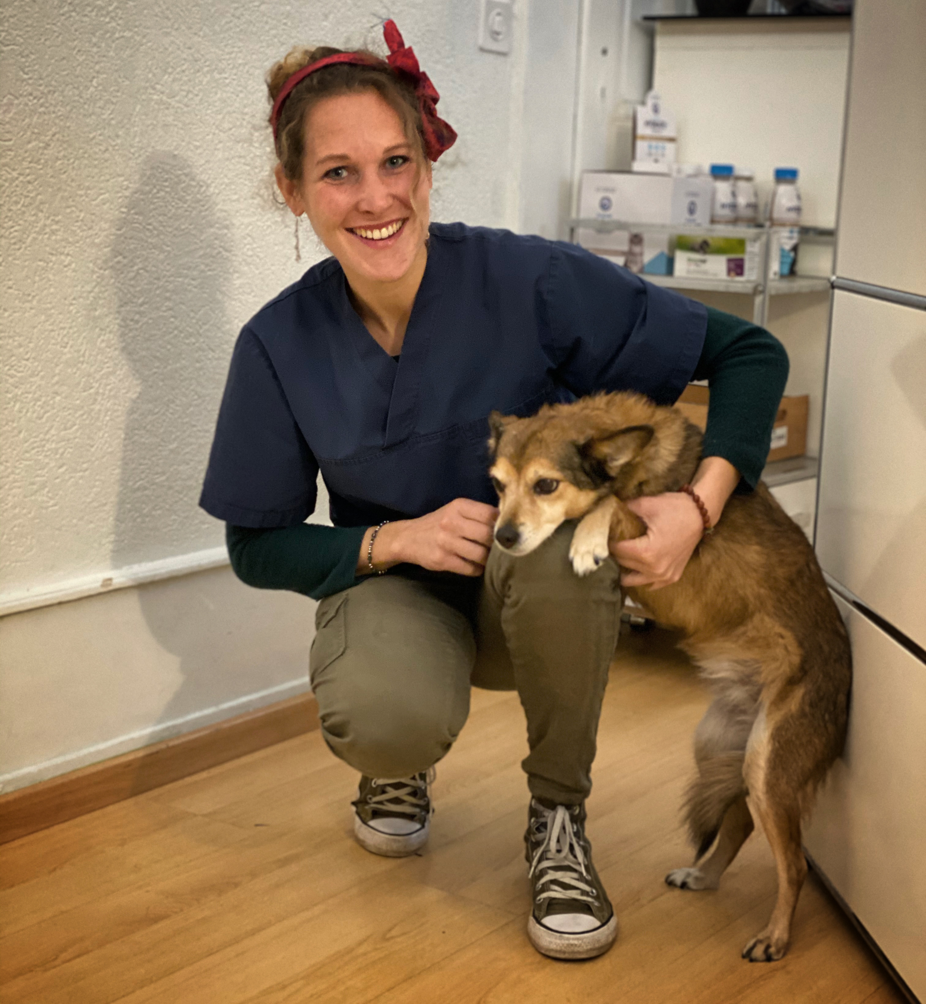 CDED079A-66F4-450C-96EA-B7C6215E8A42