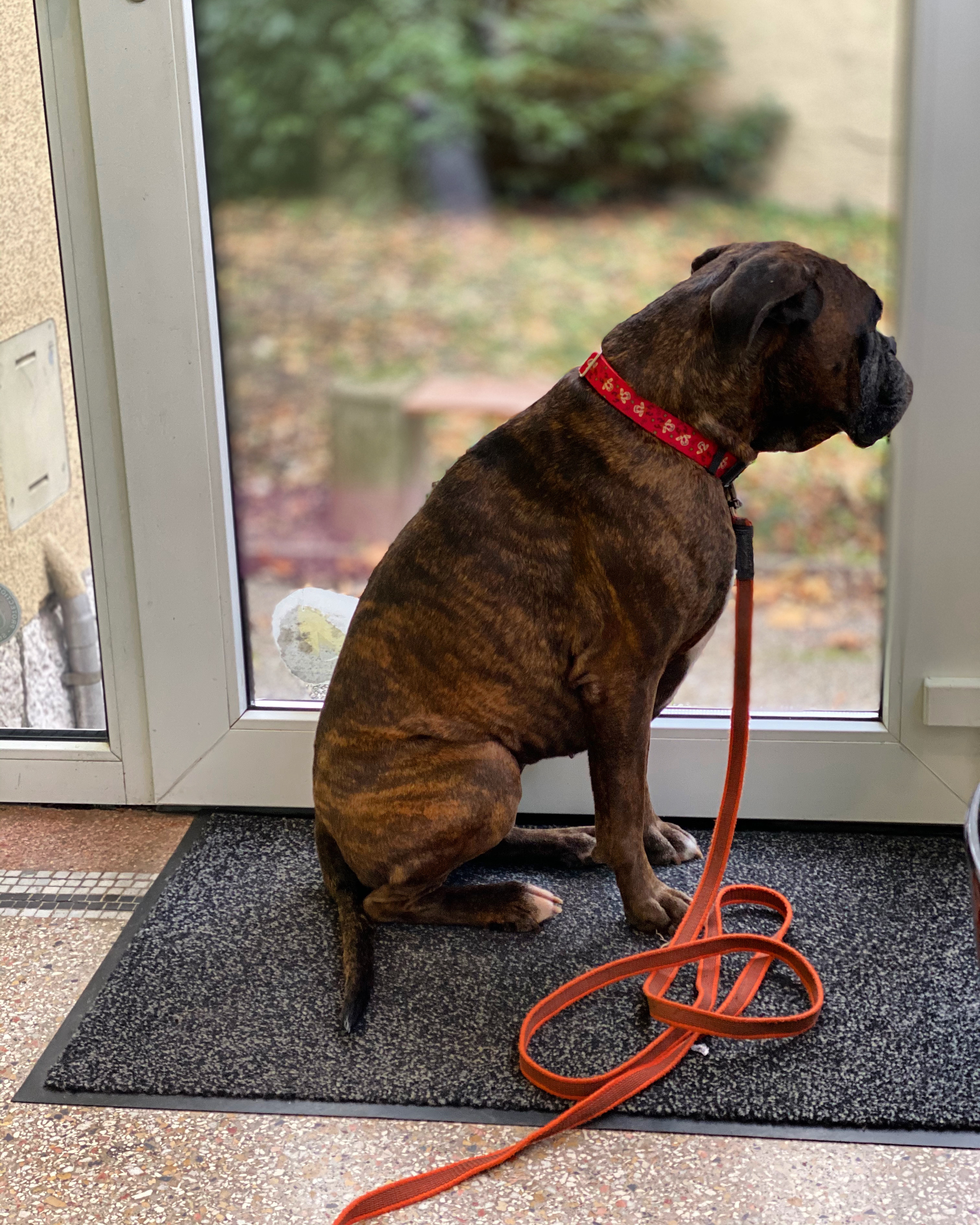 D00B6CF4-698A-4B8D-861E-C6B076088ECF