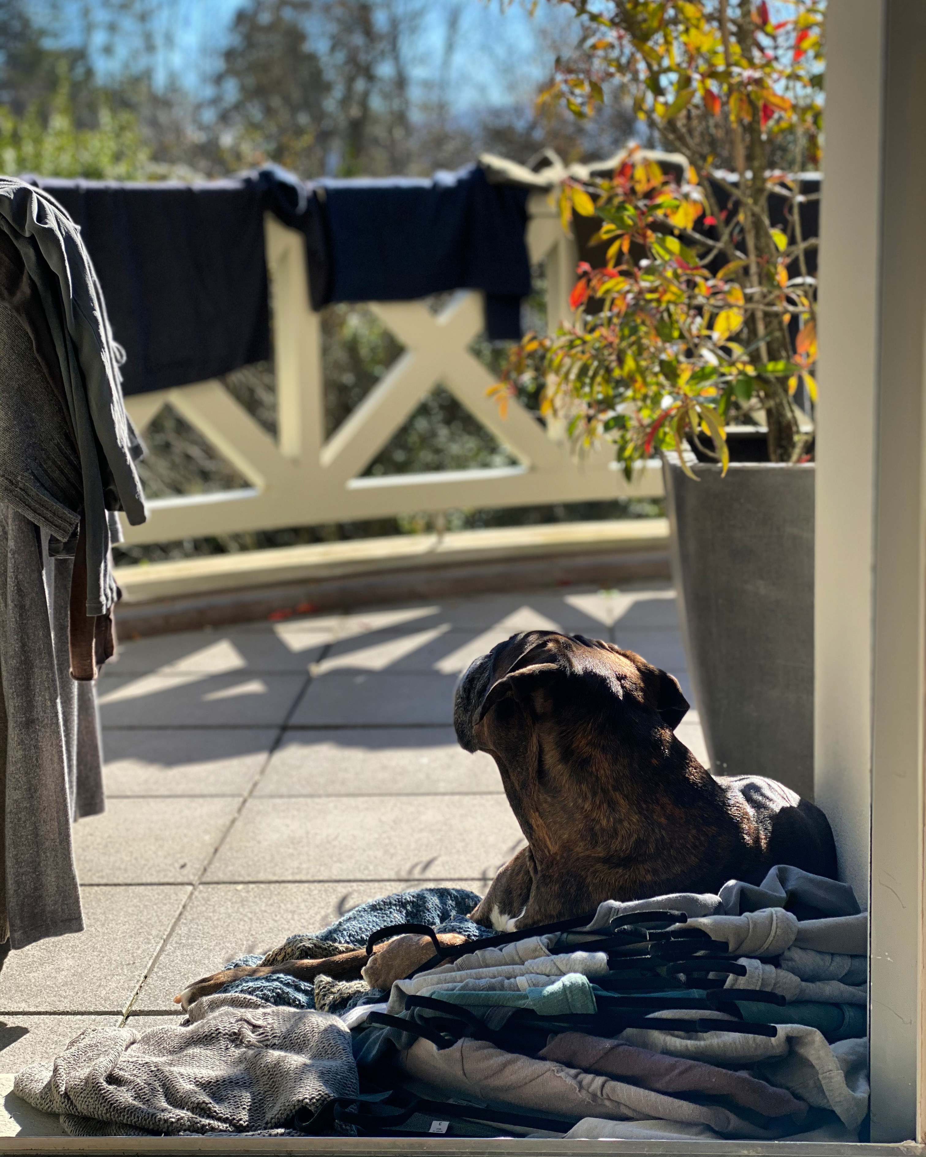 D49DE525-A3D2-4C3B-AEEC-7095E36831D1