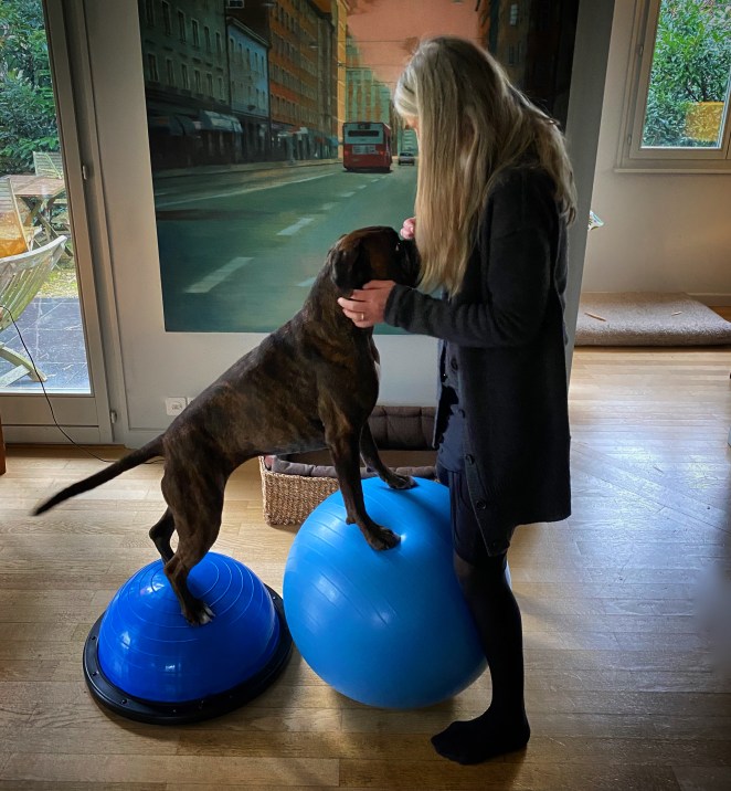 D96E32AE-C2F4-4709-8DB5-051A4D81C851