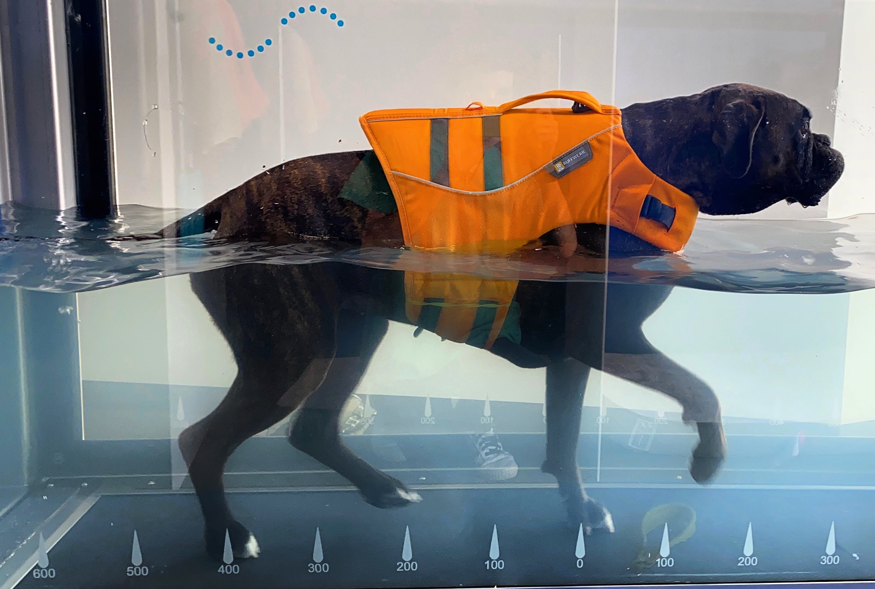 EAE39CF0-6A4A-4802-A5A9-3BB91BAD65F6