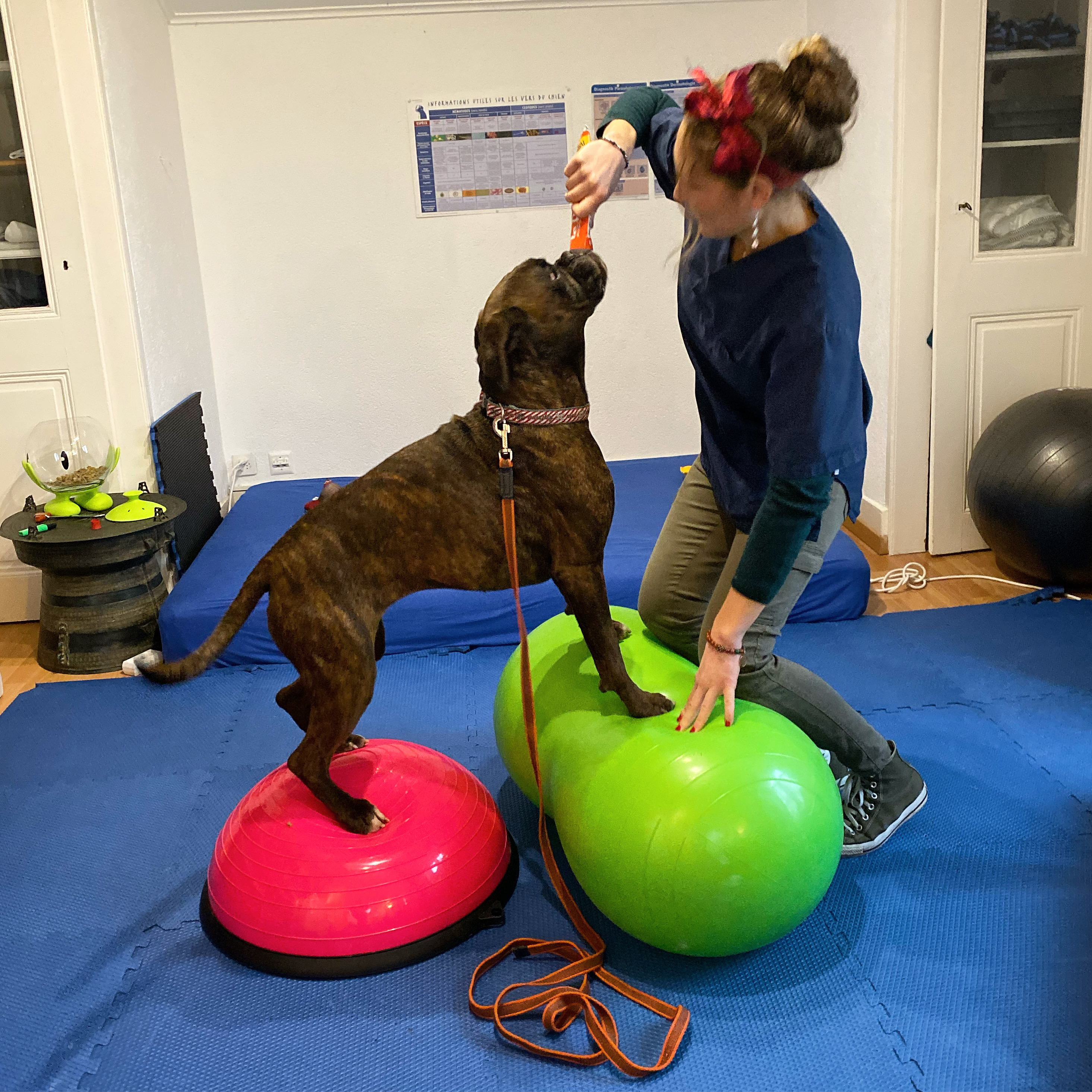 FA2AB79B-8371-4A54-809F-E3BF9FFFFB31