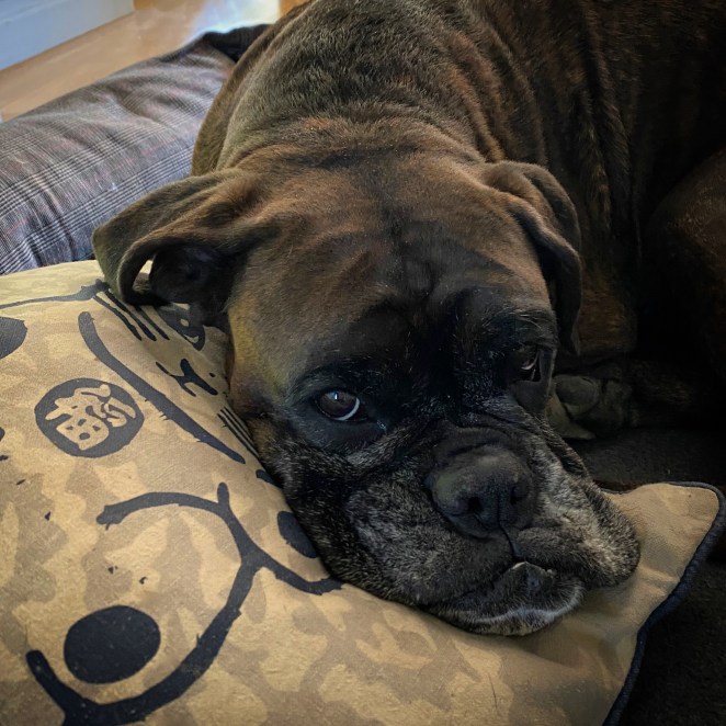 79A749D7-2743-4974-A65C-7123FB8DD5C0