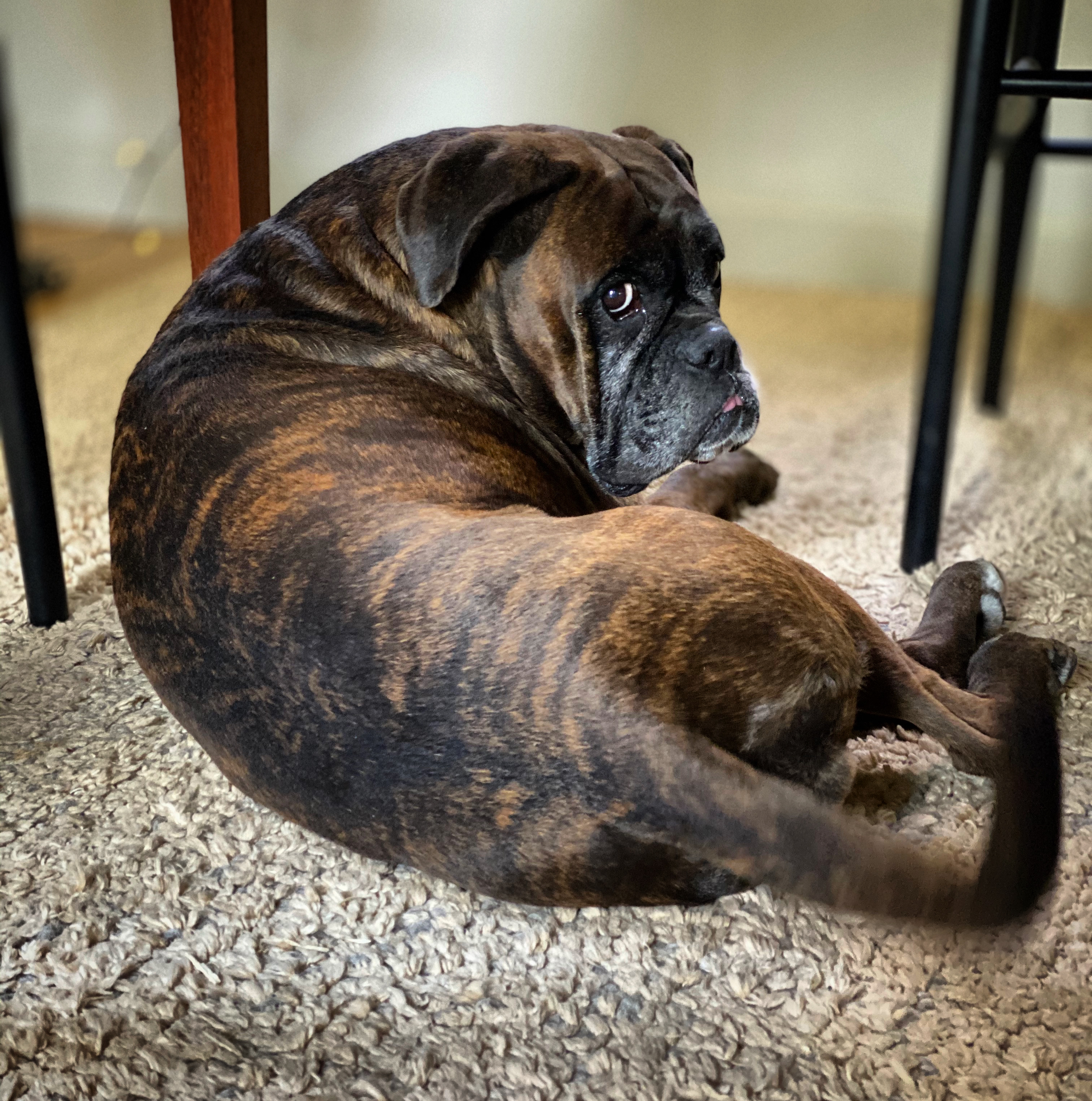 BAC3A4D0-75DD-4403-8BA1-97DDD0C29435 2