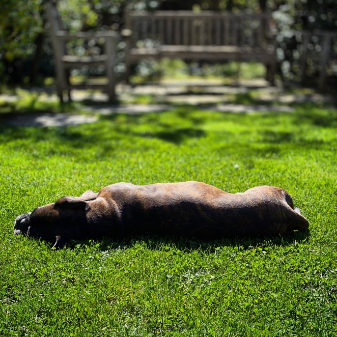 DD42DC74-50A4-42A0-B4C2-DA4E9CBFDA30