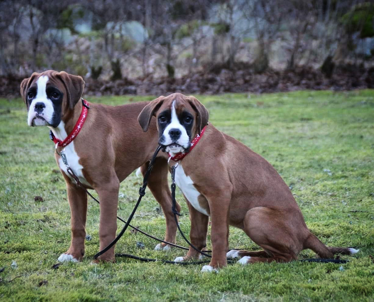 F74A2A8E-A94A-4796-9610-6C750ABDAF59