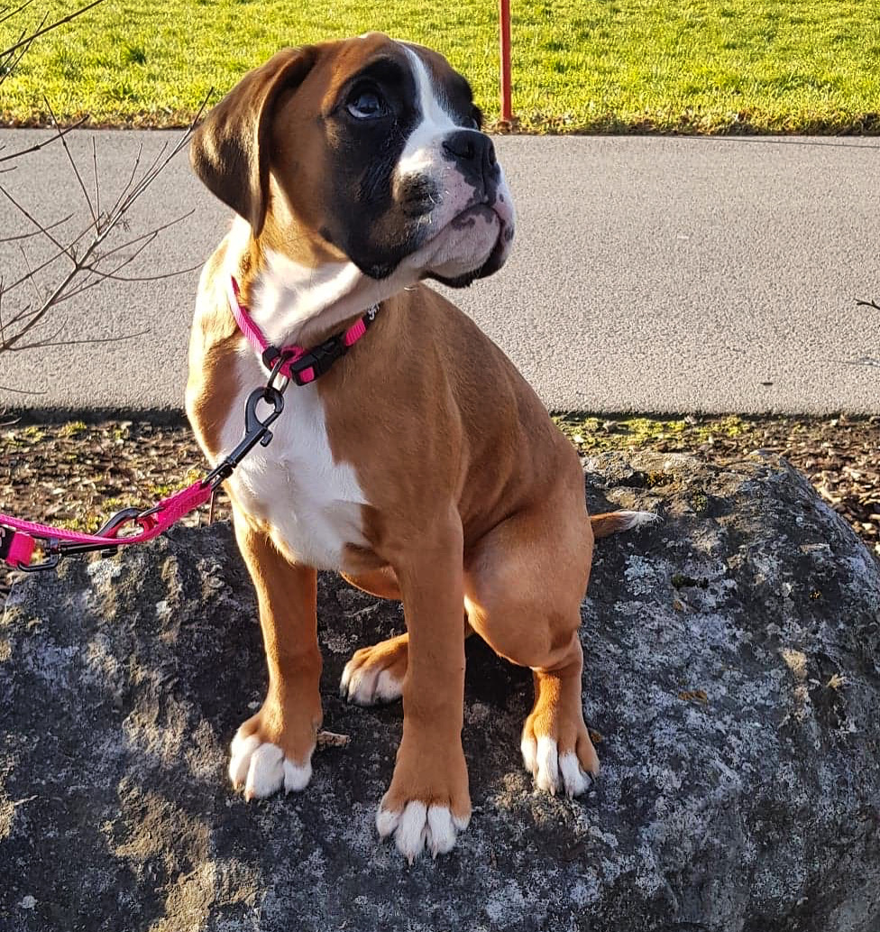 0F1C6867-D3C0-4A45-BE2A-EDEB464DFF10