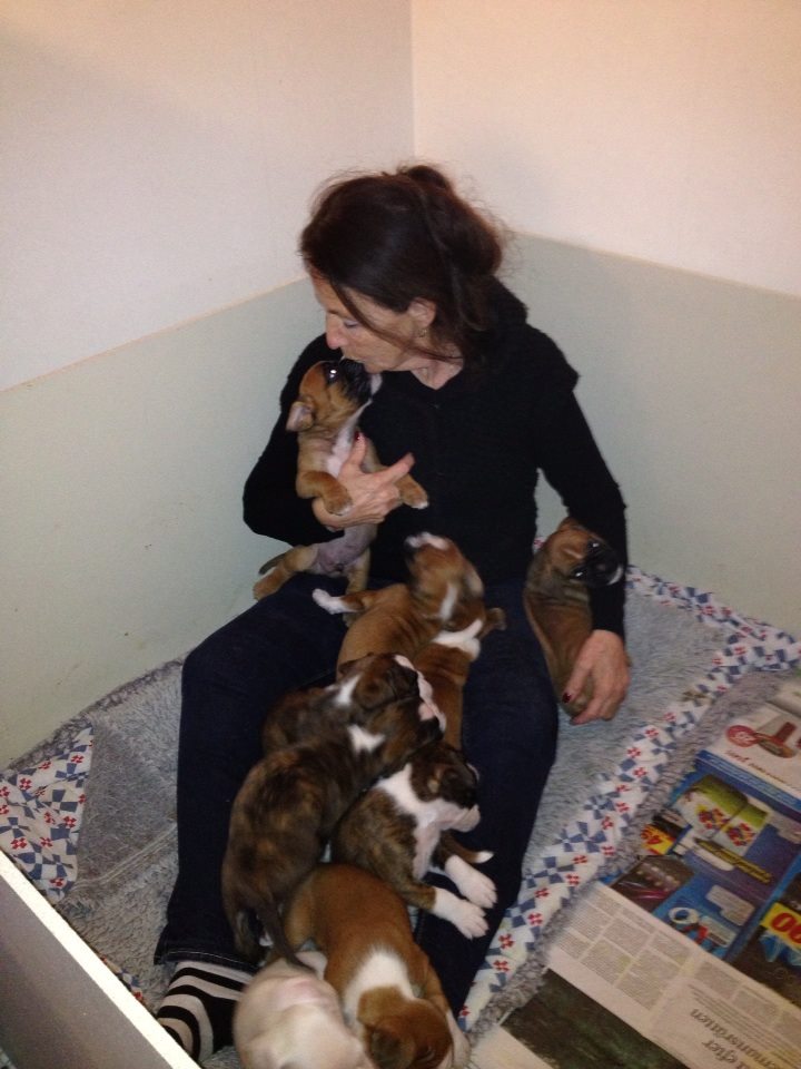 1560547_529314793833412_1407726653_n