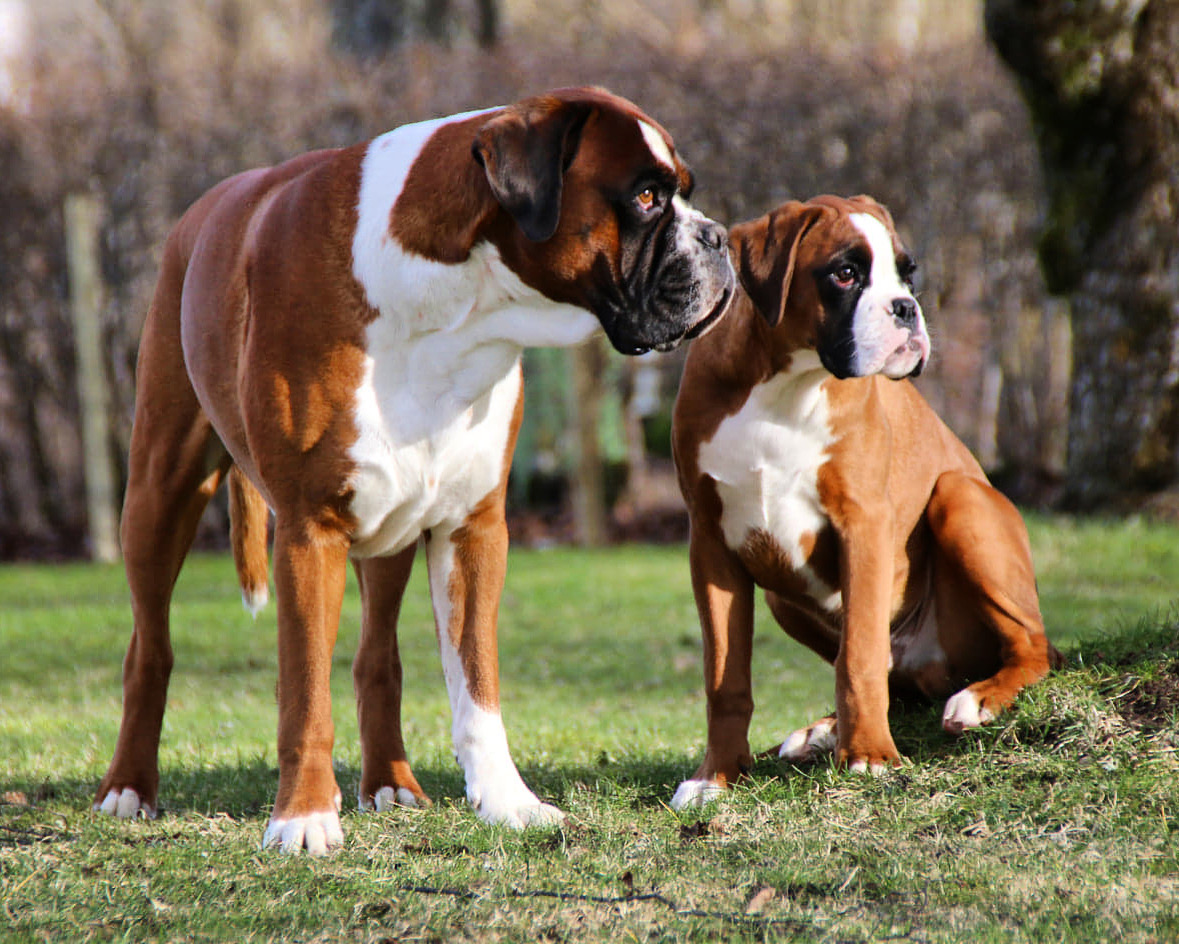 38A6558A-821D-4AAE-9D7D-27171B9D27C3