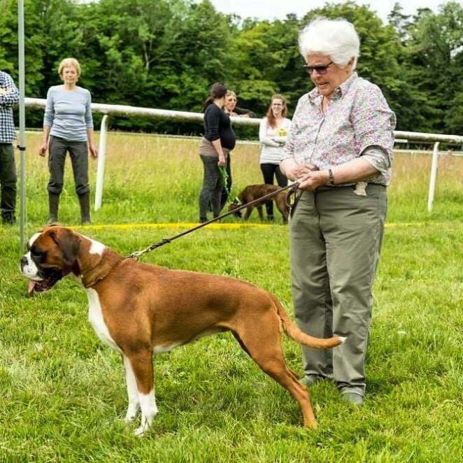 46471BCD-AB89-4F0E-B259-7647FB9F3986